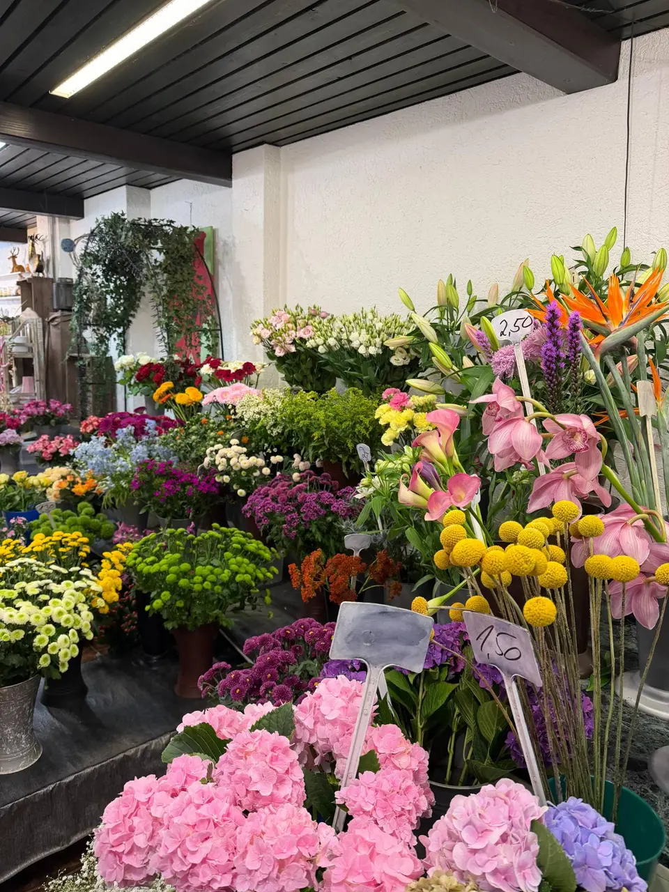 Blumentheke in unserem Laden mit Hortensien, Craspedia und Orchideen