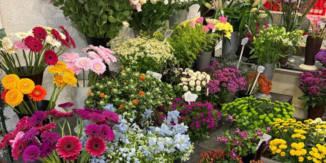 Schnittblumen auf Stufen im Laden: Gerbera, Lisianthus, Chrysanthemen und Rittersporn